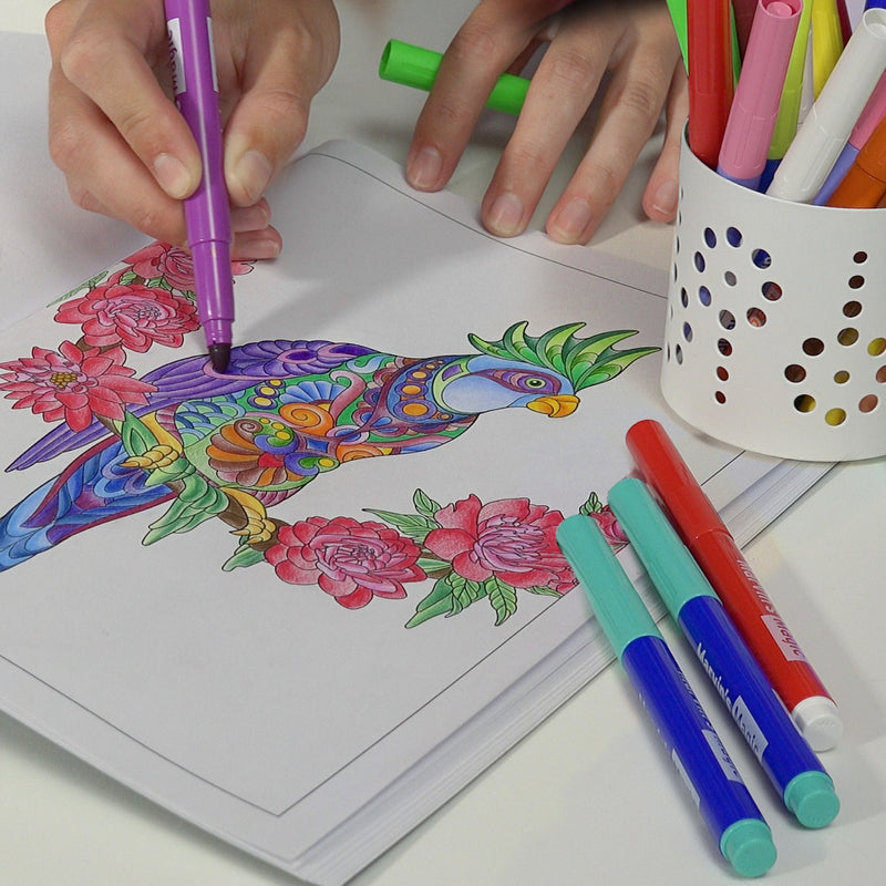 Colouring Book and Sketch Pad